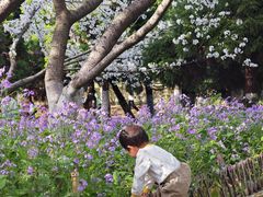 -白塘生态植物园