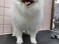 -FAELING PETS美天灵宠物(富力广场店)