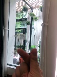 -宝贝家族国际影像馆(东郊记忆店)