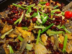 -老板恋上鱼(恒隆广场店)