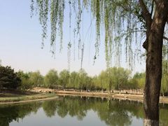 -大兴滨河森林公园