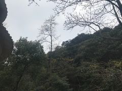 -北仑森林植物园