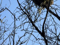 -山王坪喀斯特国家生态公园