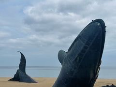 -烟台金沙滩海滨公园