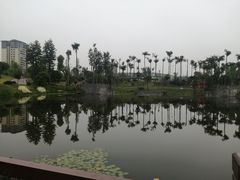 -枫香湖儿童公园