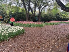 -无锡梅园公园