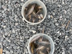 -DGE季风钓虾营地·团建·聚会