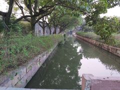 -月湖公园