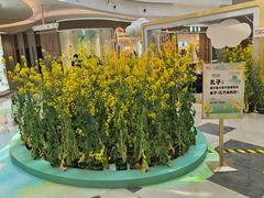 -宁波海曙印象城