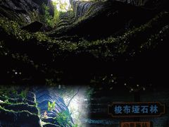 -梭布垭石林景区