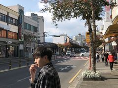 -西归浦每天偶来市场