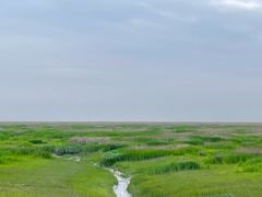 -宁波杭州湾国家湿地公园