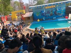 -荆州中山公园动物园