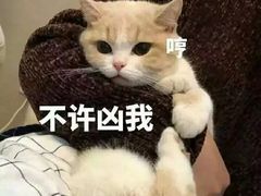 -祥升行照相馆彩扩输出(华人一品大厦店)