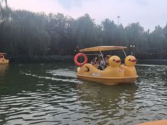 -丰台花园