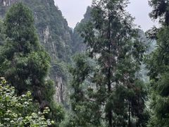 -刘伯温故里景区百丈漈