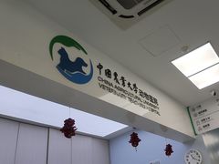 -中国农业大学动物医院