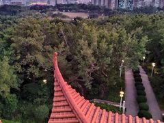-深圳龙潭公园