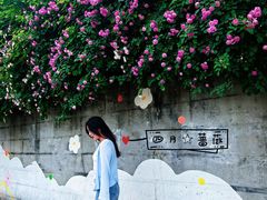 -神仙树公园