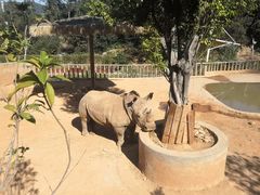 -泉州海丝野生动物世界