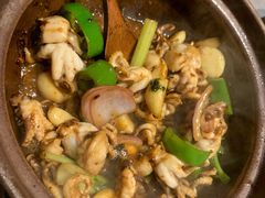 生啫八爪鱼-啫神·广州地标美食(北京路店)