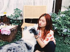 -三圣花乡旅游区