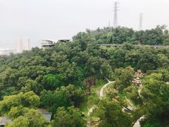 -金鸡山公园