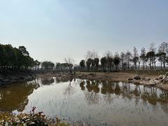 -春花秋色城市公园