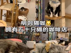 -10 corso como (江南店)