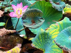 -世界之窗阿尔卑斯冰雪世界