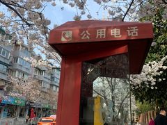 -永乐路-路侧停车场