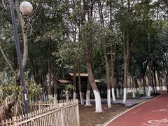 -艾溪湖湿地公园