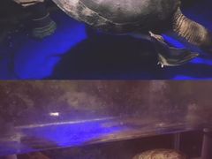 -宁波海洋世界-售票处