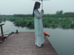 -荷塘月色湿地公园·向阳花洲