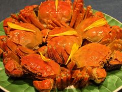 熟醉蟹-老吉堂上海本帮菜(工体店)