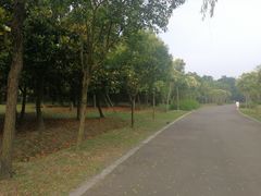 -蜀冈西峰生态公园