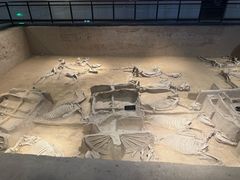 -洛阳周王城天子驾六博物馆