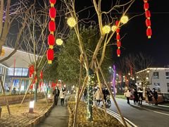 -三圣花乡旅游区