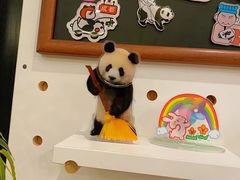 -轩客会(熊猫书店)