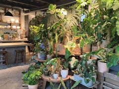 -自由生长植物工作室(深港花卉中心店)