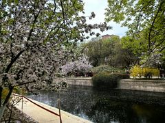 -元大都城垣遗址公园