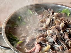 -小杨翘脚牛肉