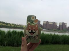 -塘沽森林公园