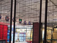 -眉州东坡(民族园店)
