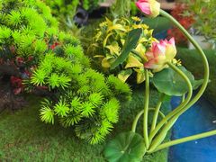 -蔓兰家的四季S0餐厅·融合菜(当代MOMA店)
