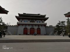 -金城公园