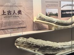 -淮安市博物馆