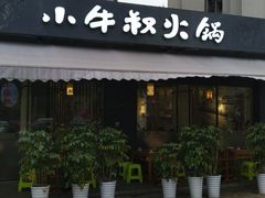 -小牛叔鲜切牛肉·火锅·烤肉自助(公济桥路店)