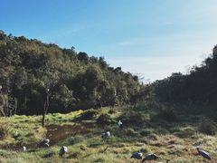 -普洱太阳河森林公园
