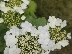 -木塔寺遗址生态公园